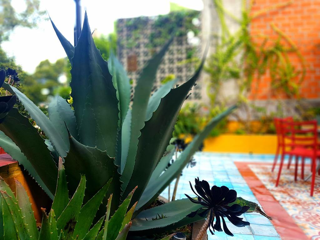 La Querencia Df Bed & Breakfast เม็กซิโกซิตี้ ภายนอก รูปภาพ